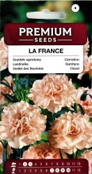 Carnation La France Seeds